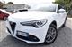 ALFA ROMEO Stelvio 2.2 T.diesel 160CV AT8 RWD Bus. Suv (11/2020)