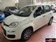 FIAT Panda 1.2 Easy Berlina