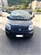 FIAT Panda 1.2 Lounge Berlina (01/2019)