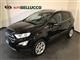 FORD EcoSport 1.5 Ecoblue 100 CV S&S Titanium Suv (05/2021)