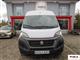 FIAT Ducato Transporter (06/2020)