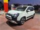 FIAT Panda 1.0 FireFly S&S Hybrid City Cross City Car